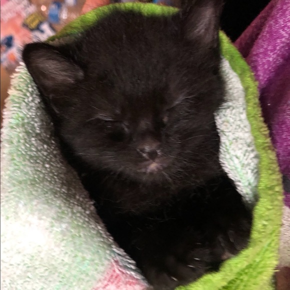 Meet your Posher, Mari - Picture 3 of 11